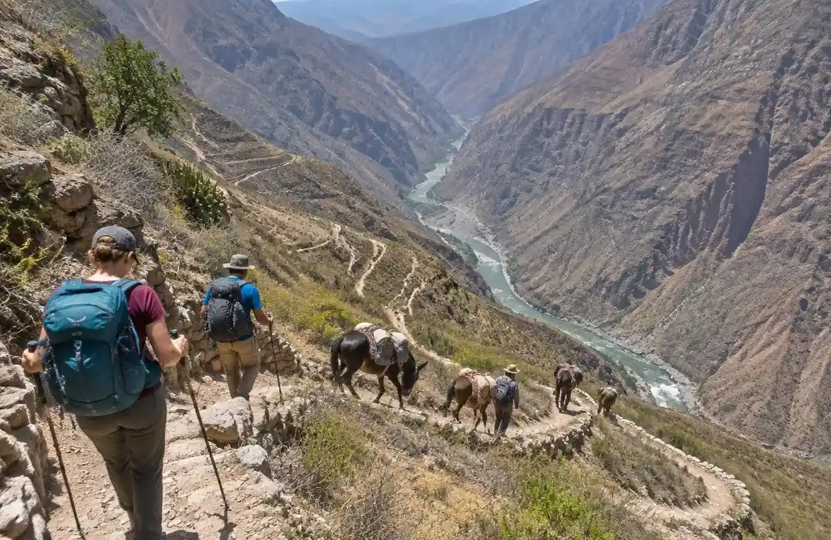 Hikers and mules on the switchback trail into the Apurimac canyon on the choquequirao trek