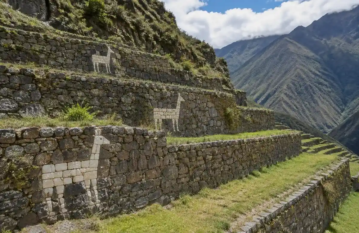 White stone llama figures set into the Inca terraces at Choquequirao Peru