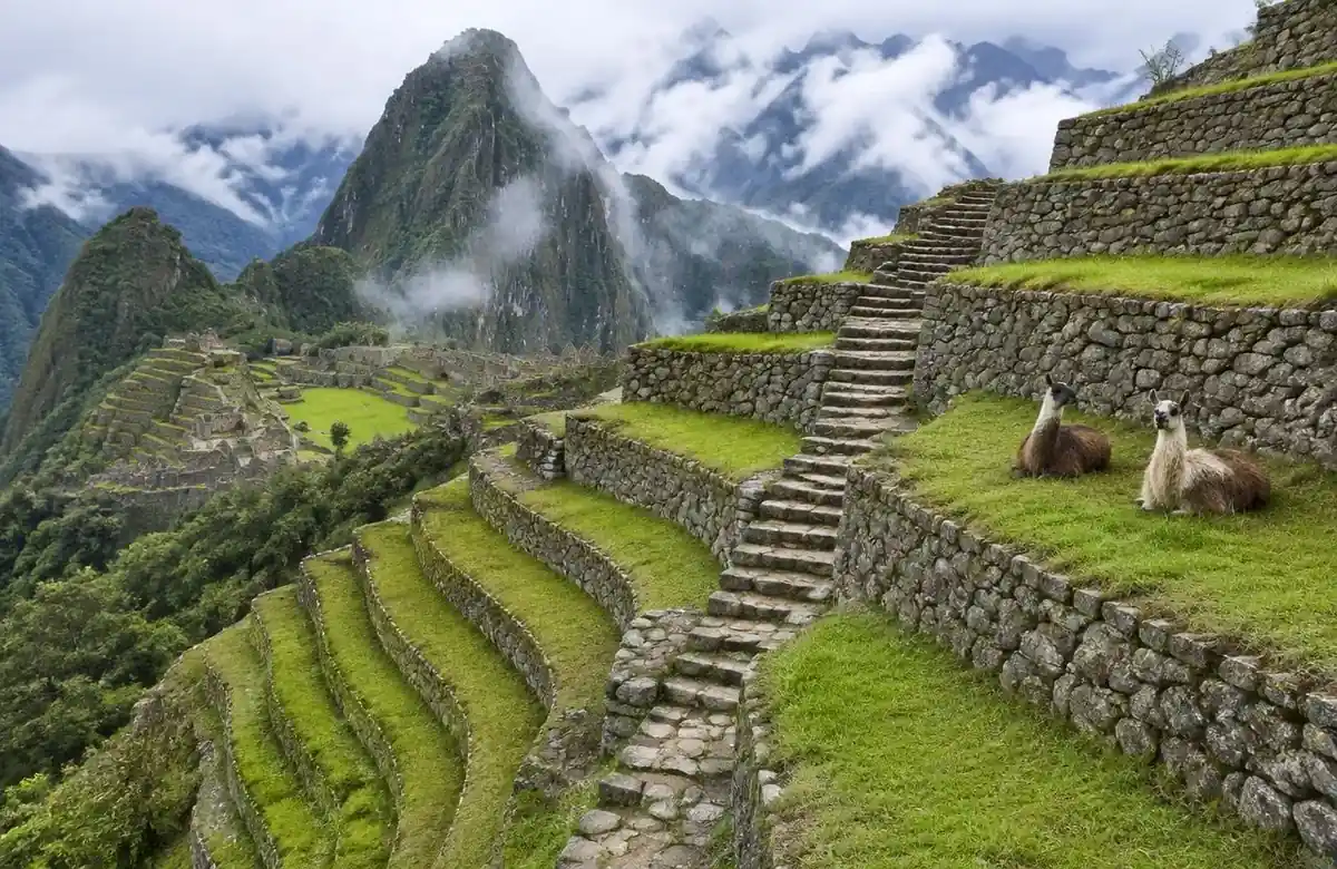 Inca terraces and stone staircase at Machu Picchu showing hidden drainage engineering