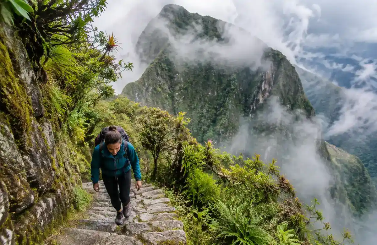 Hiker climbing Inca stone stairs on the Machu Picchu Mountain trail through cloud forest