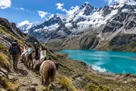 Llamas grazing beside a mountain lake on the Lares trek to Machu Picchu