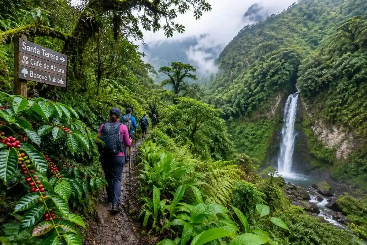 Salkantay trekking group walking through cloud forest and coffee plants near Santa Teresa